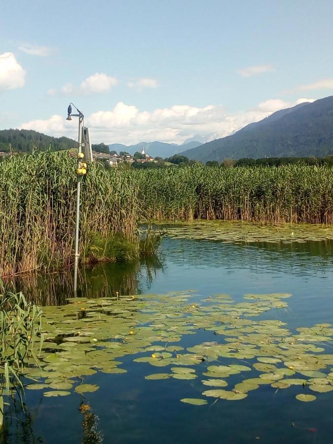 Landhaus Tirol Hotel Presseggersee Eksteriør billede